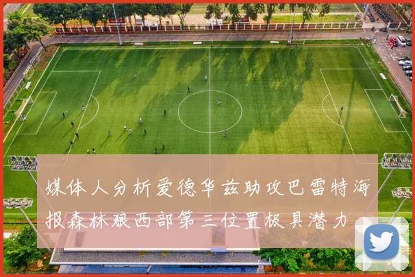 媒体人分析爱德华兹助攻巴雷特海报森林狼西部第三位置极具潜力