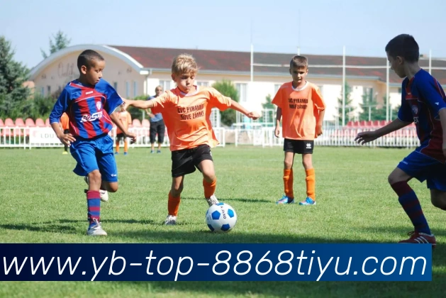 8868体育平台生态图