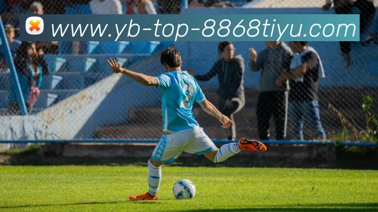 8868体育APP 封面图